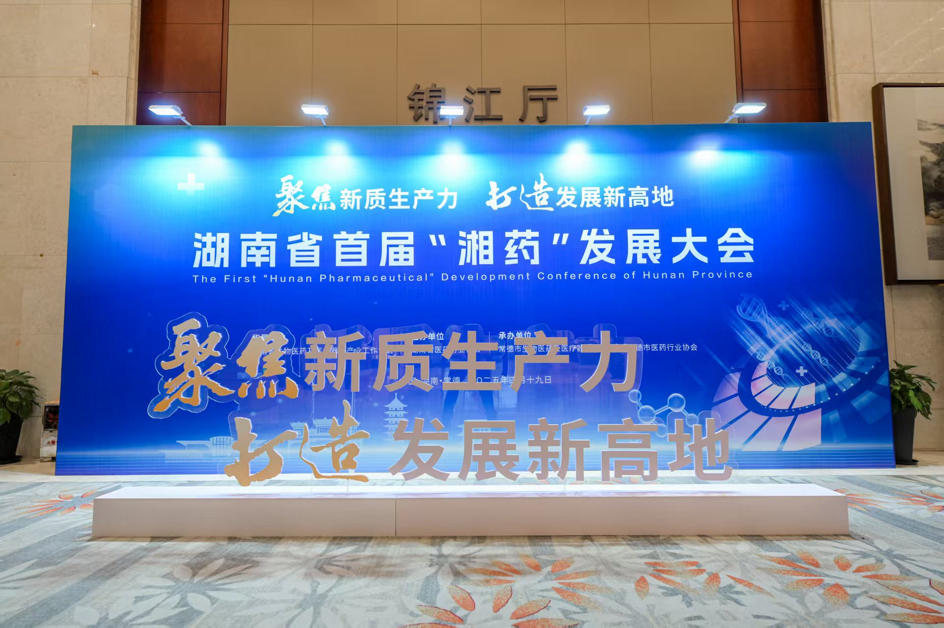 聚焦新质生产力、打造发展新高地
